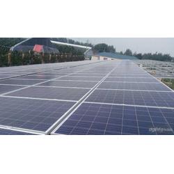 金鼎盛世 以服務至上的理念，引領太陽能發電行業新篇章